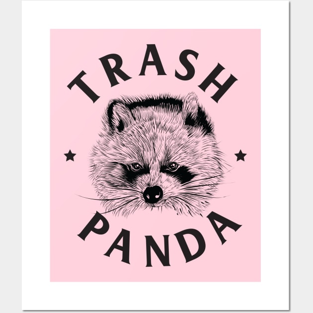 Trash Panda Wall Art by machmigo